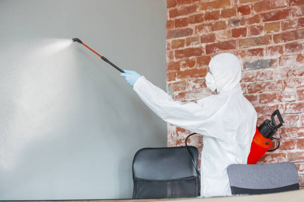 Best Industrial Mold Remediation  in North Madison, OH