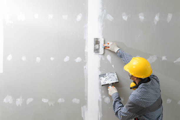 Environmental Consulting for Mold Prevention in North Madison, OH