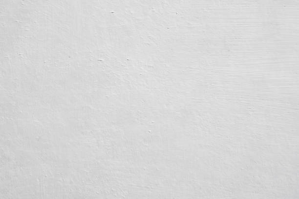 Best Mold Prevention Services  in North Madison, OH